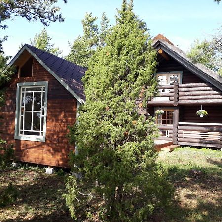 Paehkli Seaside Cottage With Cozy Outdoor Patio Koiguste Εξωτερικό φωτογραφία