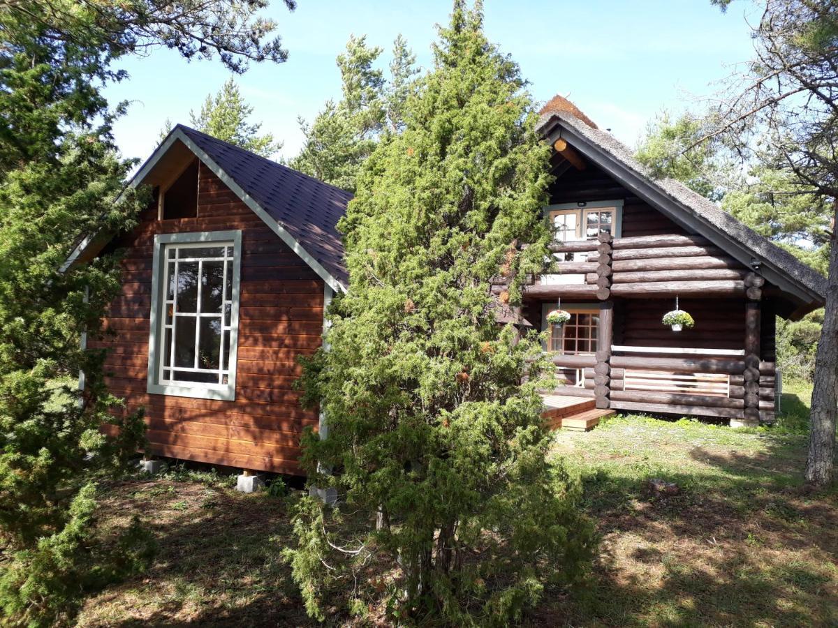Paehkli Seaside Cottage With Cozy Outdoor Patio Koiguste Εξωτερικό φωτογραφία