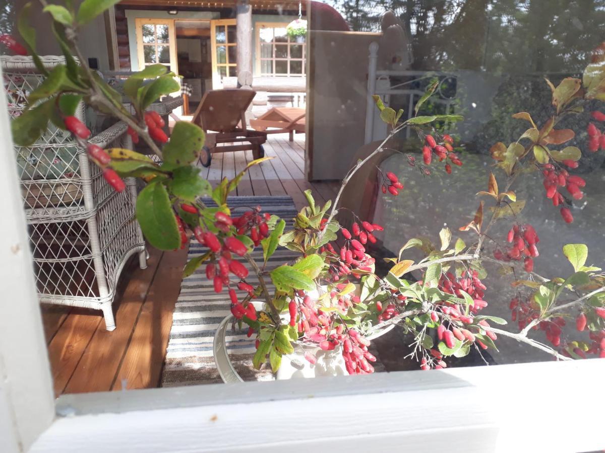 Paehkli Seaside Cottage With Cozy Outdoor Patio Koiguste Εξωτερικό φωτογραφία